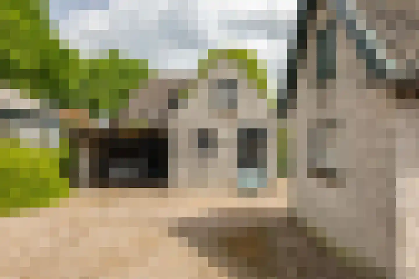 Kluinweideweg 12 Vaassen thumbnail 21