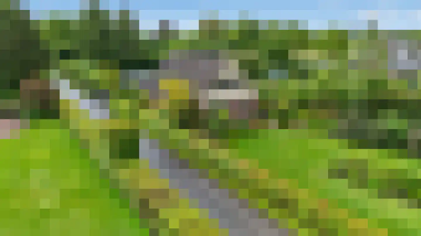 Kluinweideweg 29 Vaassen thumbnail 39