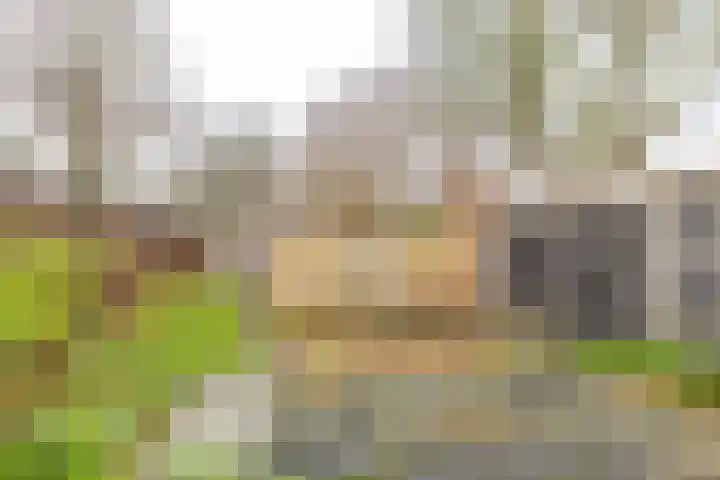 Kluisgat 20 Groningen thumbnail 4