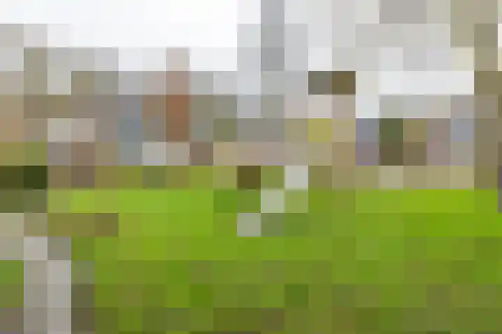 Kluisgat 20 Groningen thumbnail 42