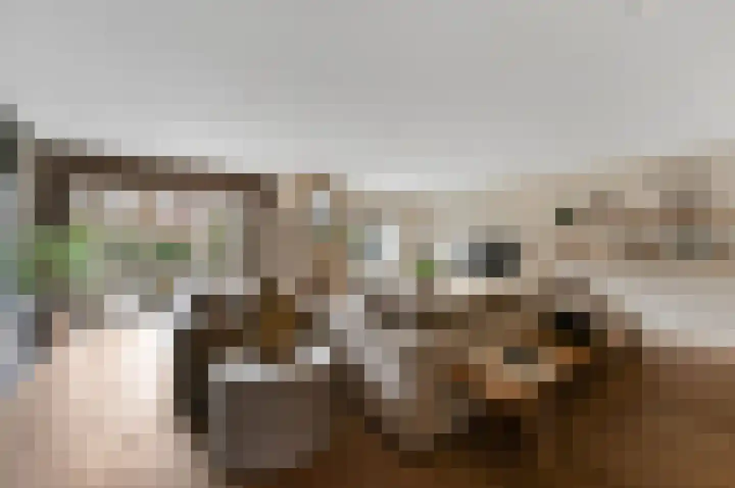 Kluishof 26 Maasland thumbnail 10