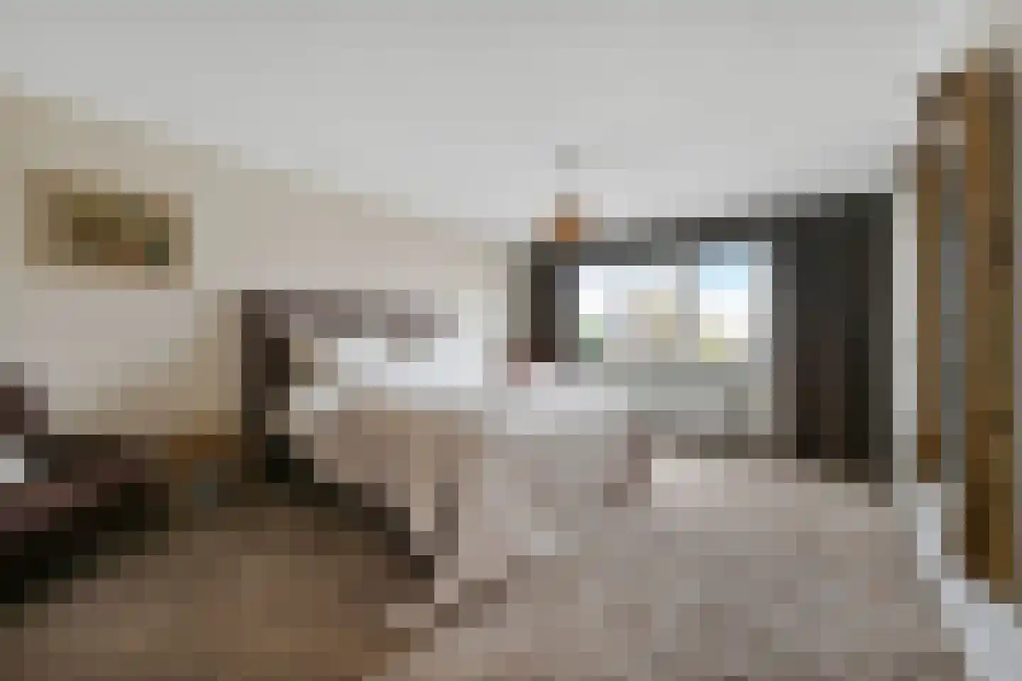 Kluishof 26 Maasland thumbnail 24