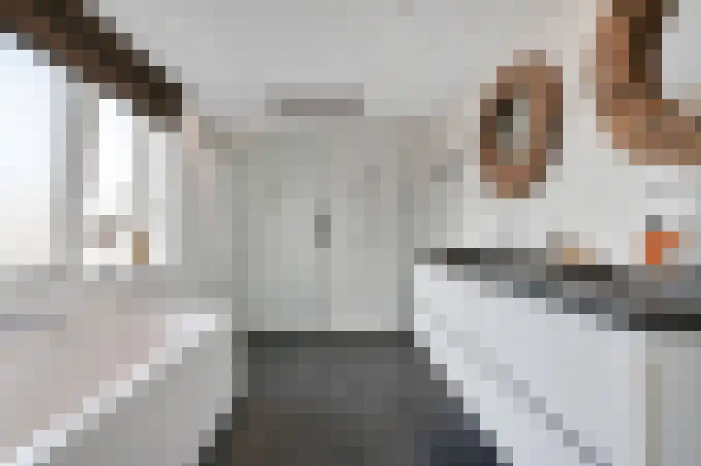 Kluishof 26 Maasland thumbnail 27