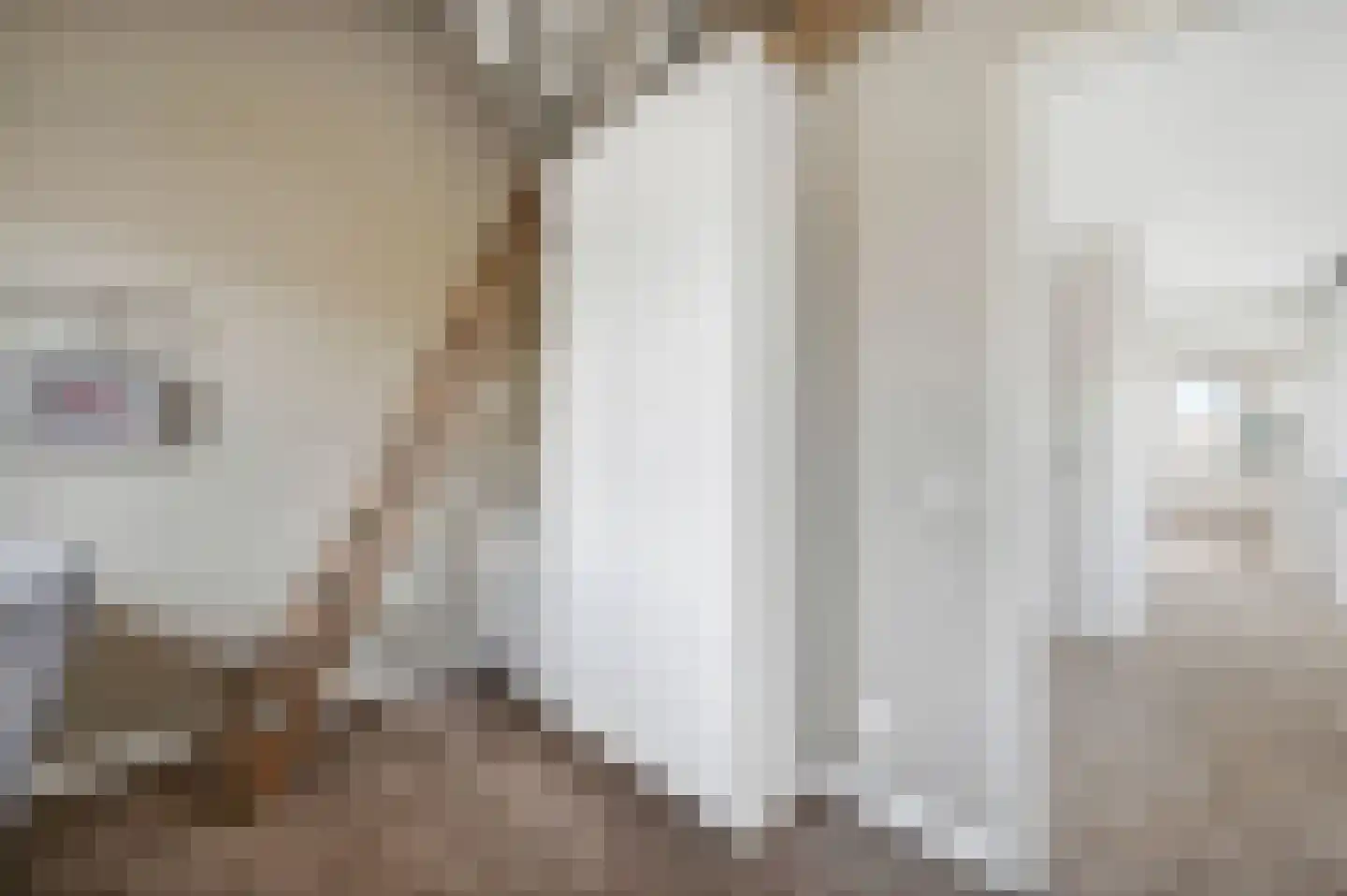 Kluishof 26 Maasland thumbnail 38