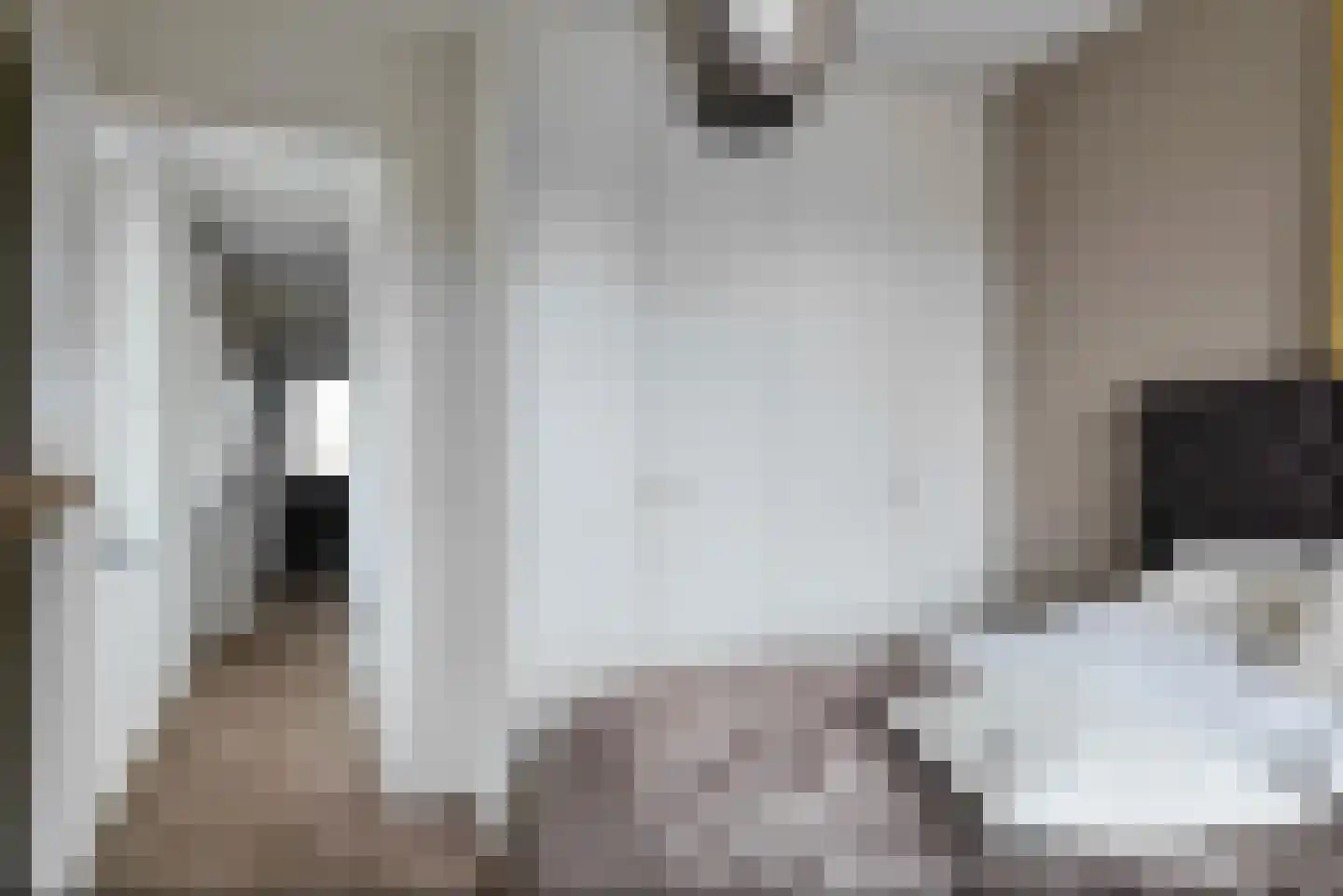 Kluishof 26 Maasland thumbnail 39