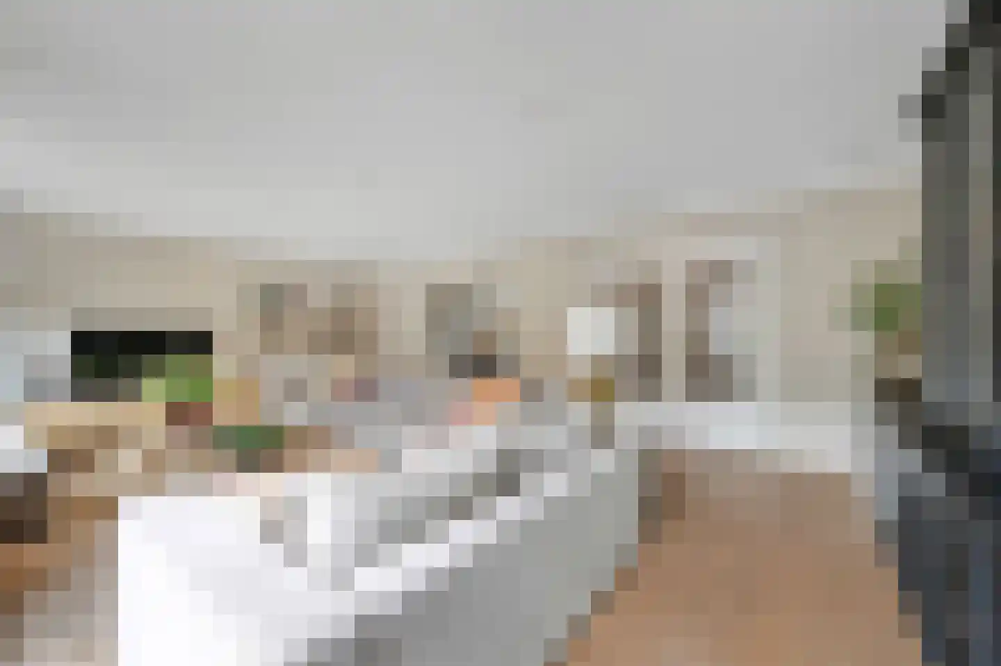 Kluishof 26 Maasland thumbnail 4