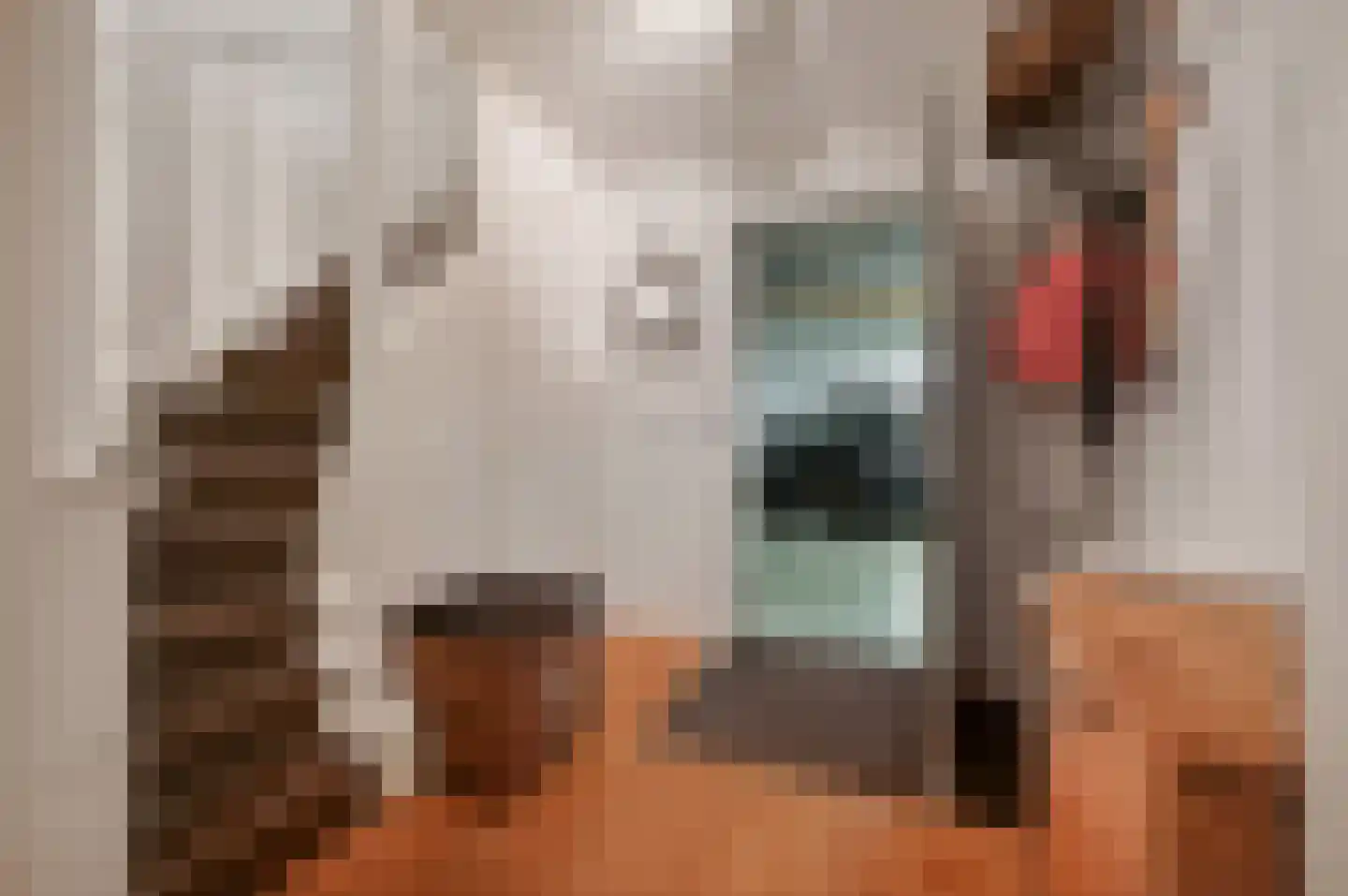 Kluishof 26 Maasland thumbnail 46