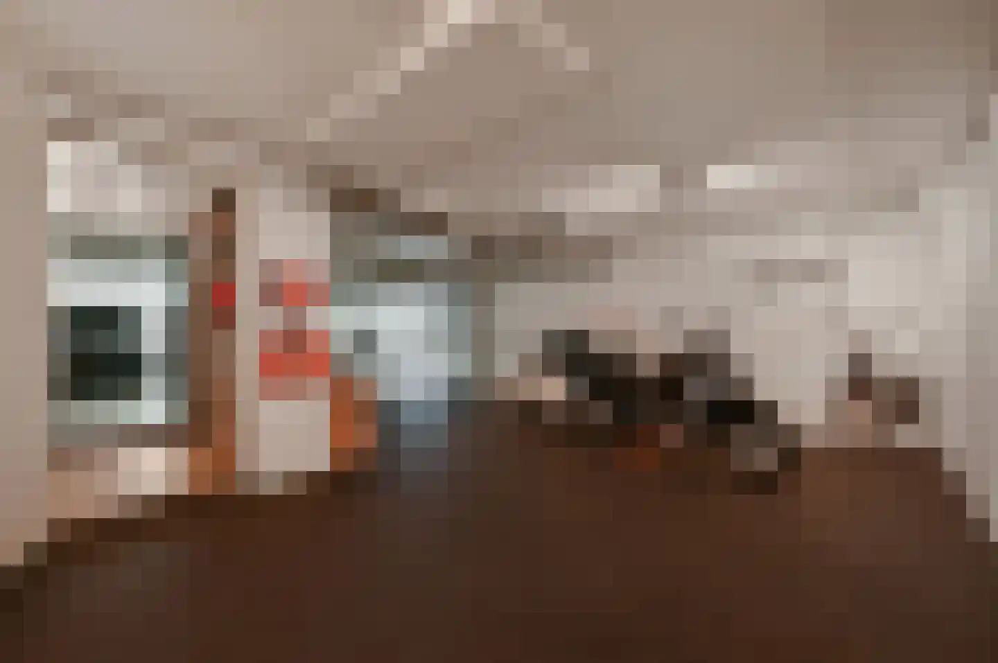 Kluishof 26 Maasland thumbnail 48