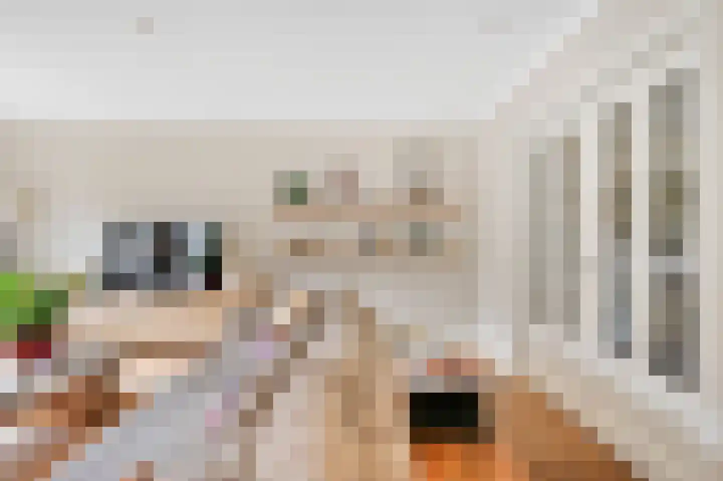 Kluishof 26 Maasland thumbnail 7