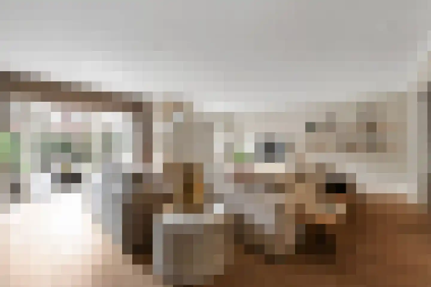 Kluishof 26 Maasland thumbnail 8