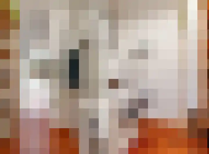 Kluishof 27 Maasland thumbnail 35
