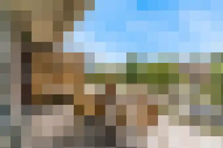 Kluishof 27 Maasland thumbnail 37