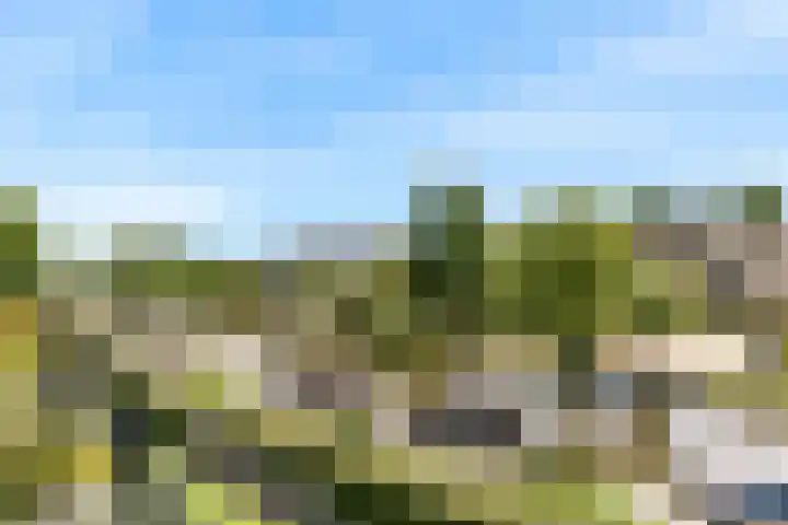 Kluishof 27 Maasland thumbnail 39