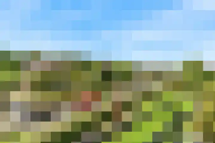 Kluishof 27 Maasland thumbnail 40
