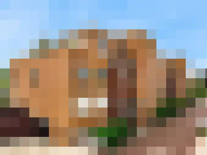 Kluishof 27 Maasland thumbnail 45
