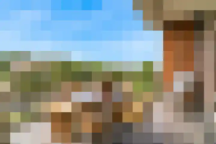 Kluishof 27 Maasland thumbnail 5