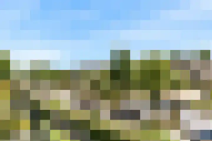 Kluishof 27 Maasland thumbnail 6