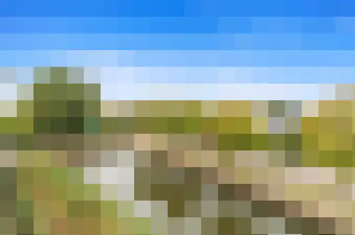 Kluishof 30 Maasland thumbnail 54