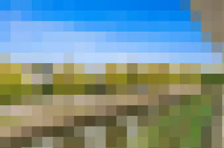 Kluishof 30 Maasland thumbnail 55
