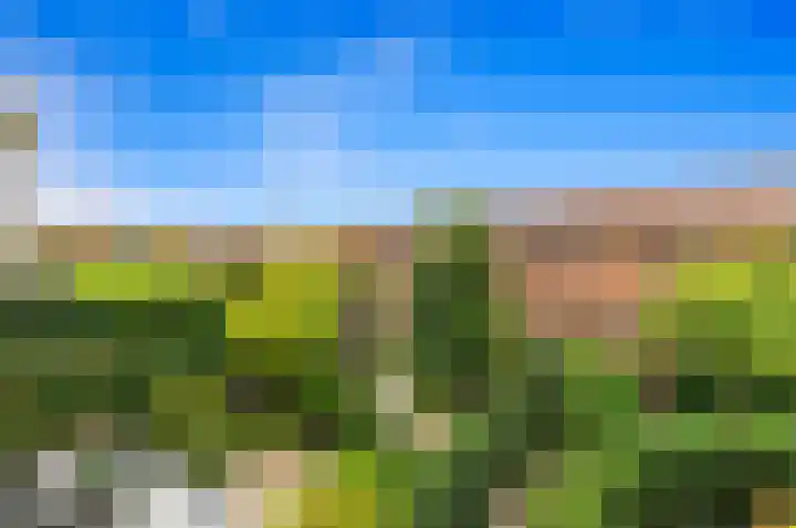 Kluishof 30 Maasland thumbnail 59
