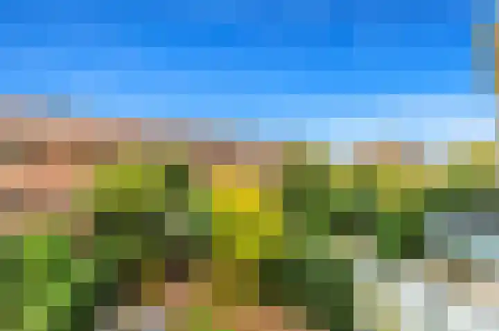 Kluishof 30 Maasland thumbnail 60