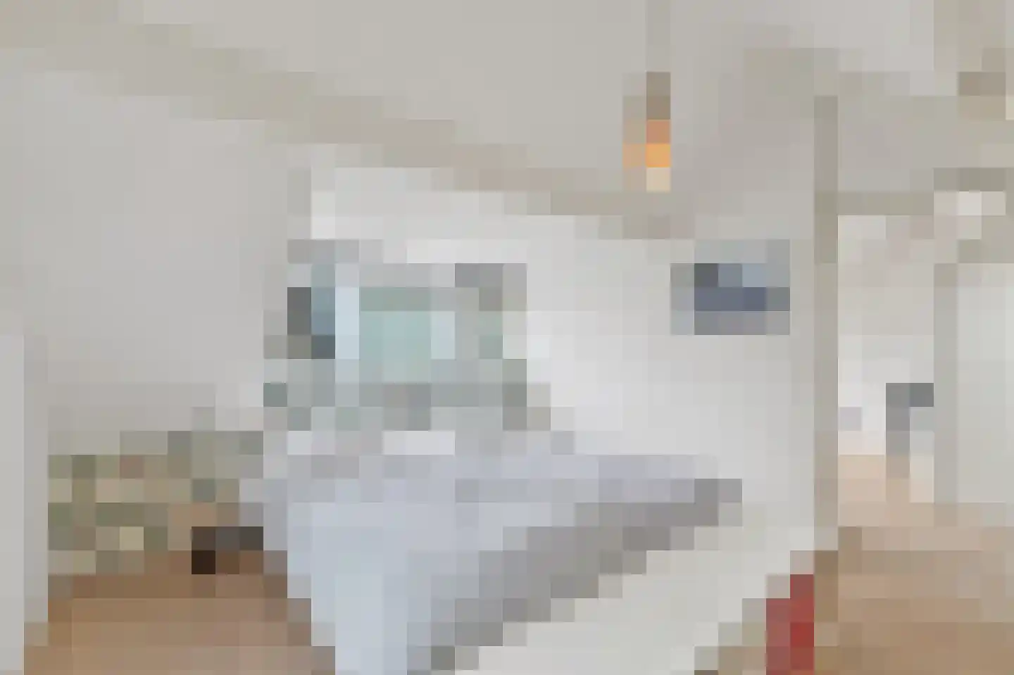 Kluiskade 10 Maasland thumbnail 32