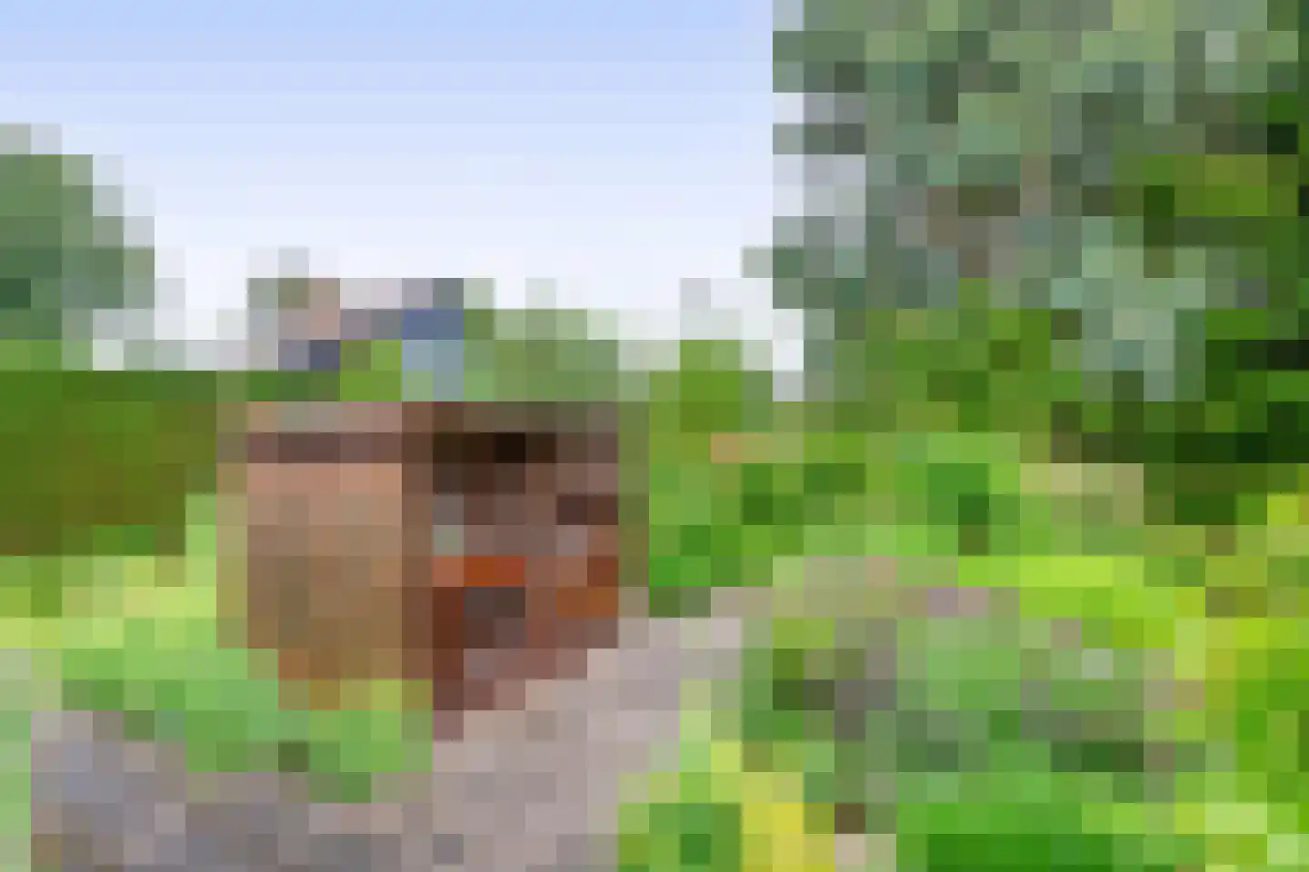 Kluiskade 19 Maasland thumbnail 30