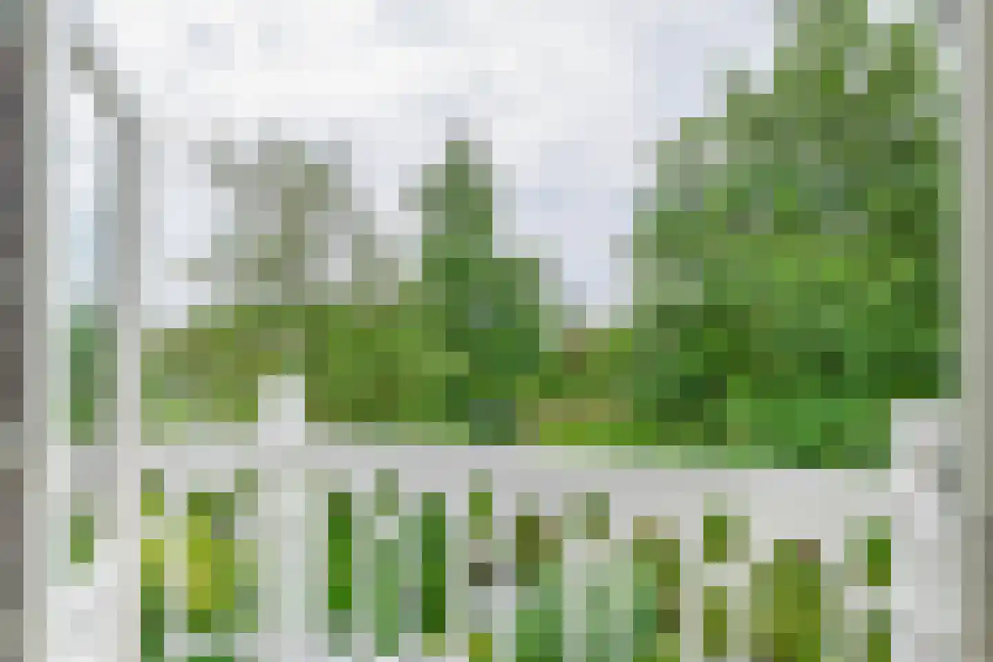 Kluiskade 19 Maasland thumbnail 4