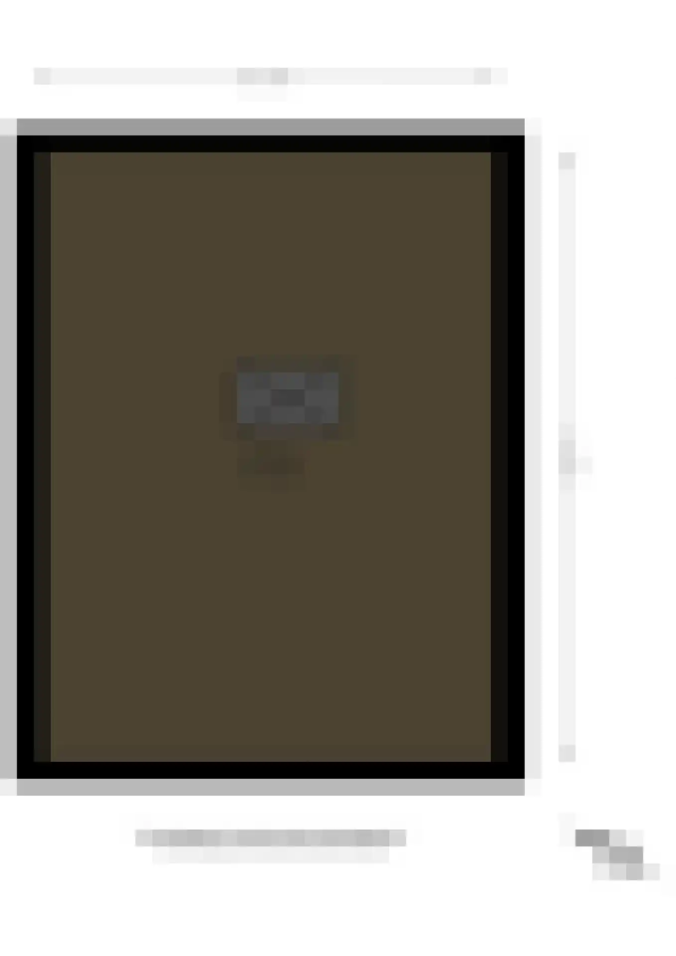 Kluiskade 19 Maasland thumbnail 46