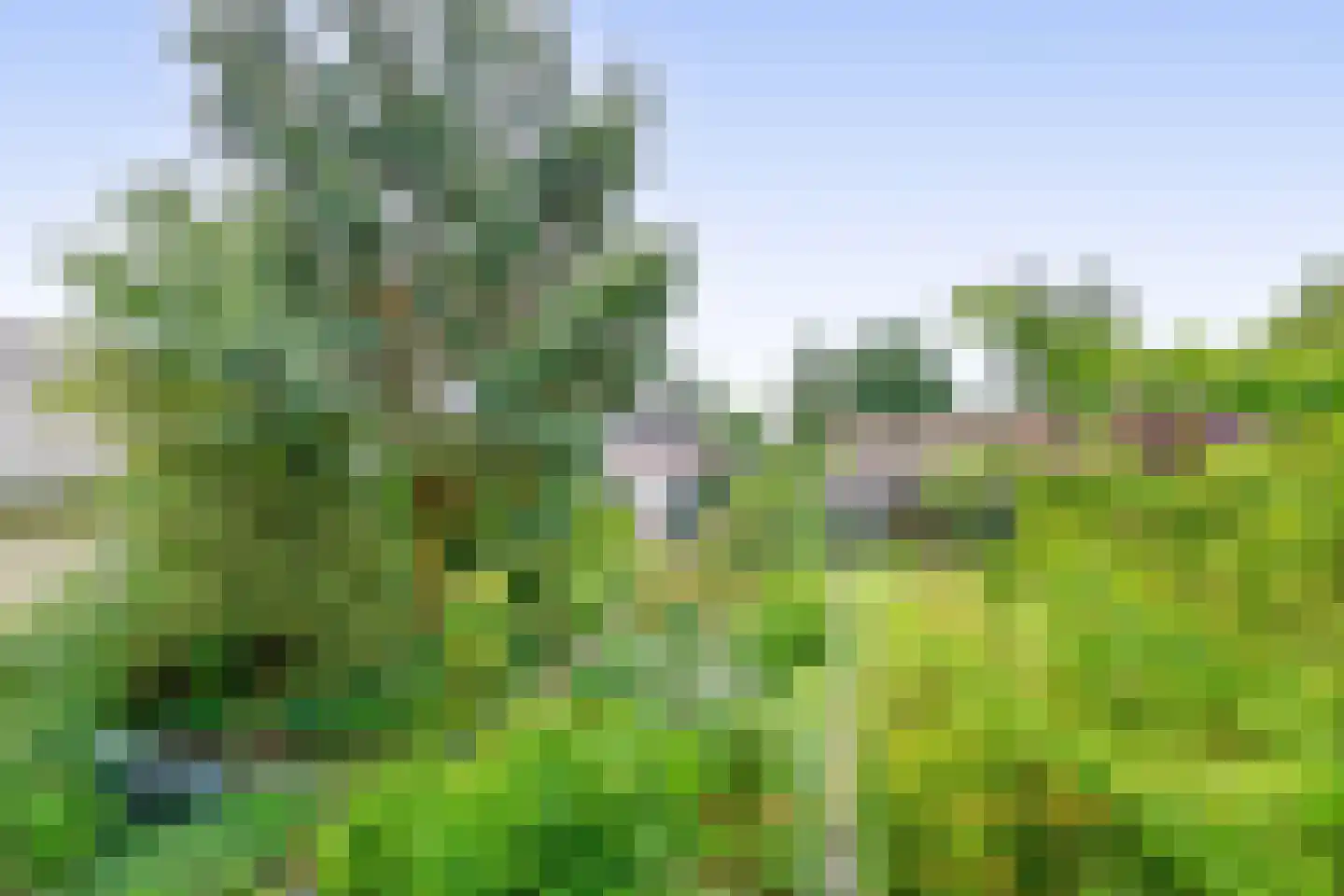Kluiskade 19 Maasland thumbnail 5