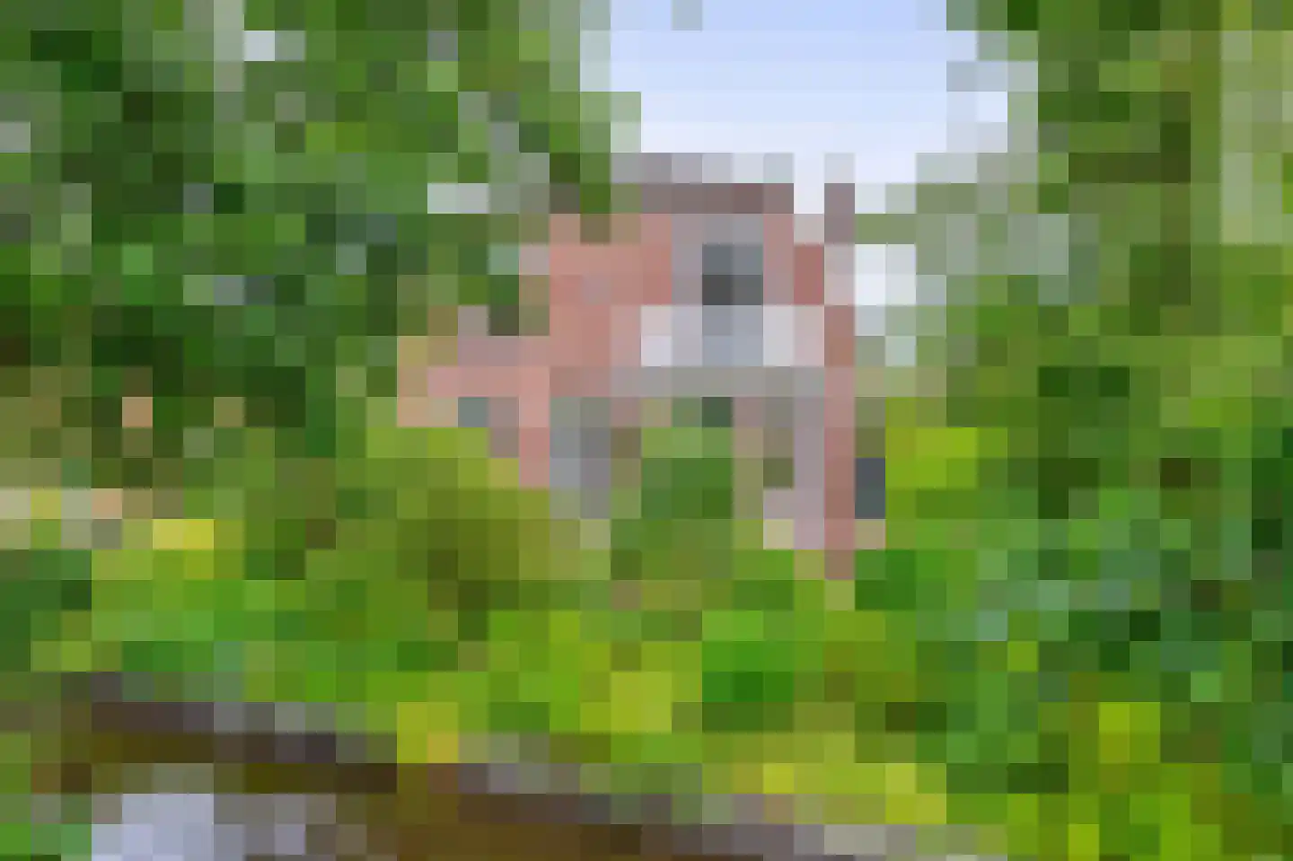 Kluiskade 19 Maasland thumbnail 9