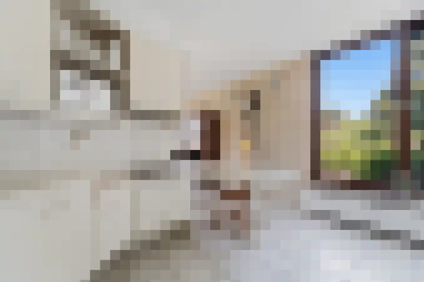 Kluiskade 20 a Maasland thumbnail 22