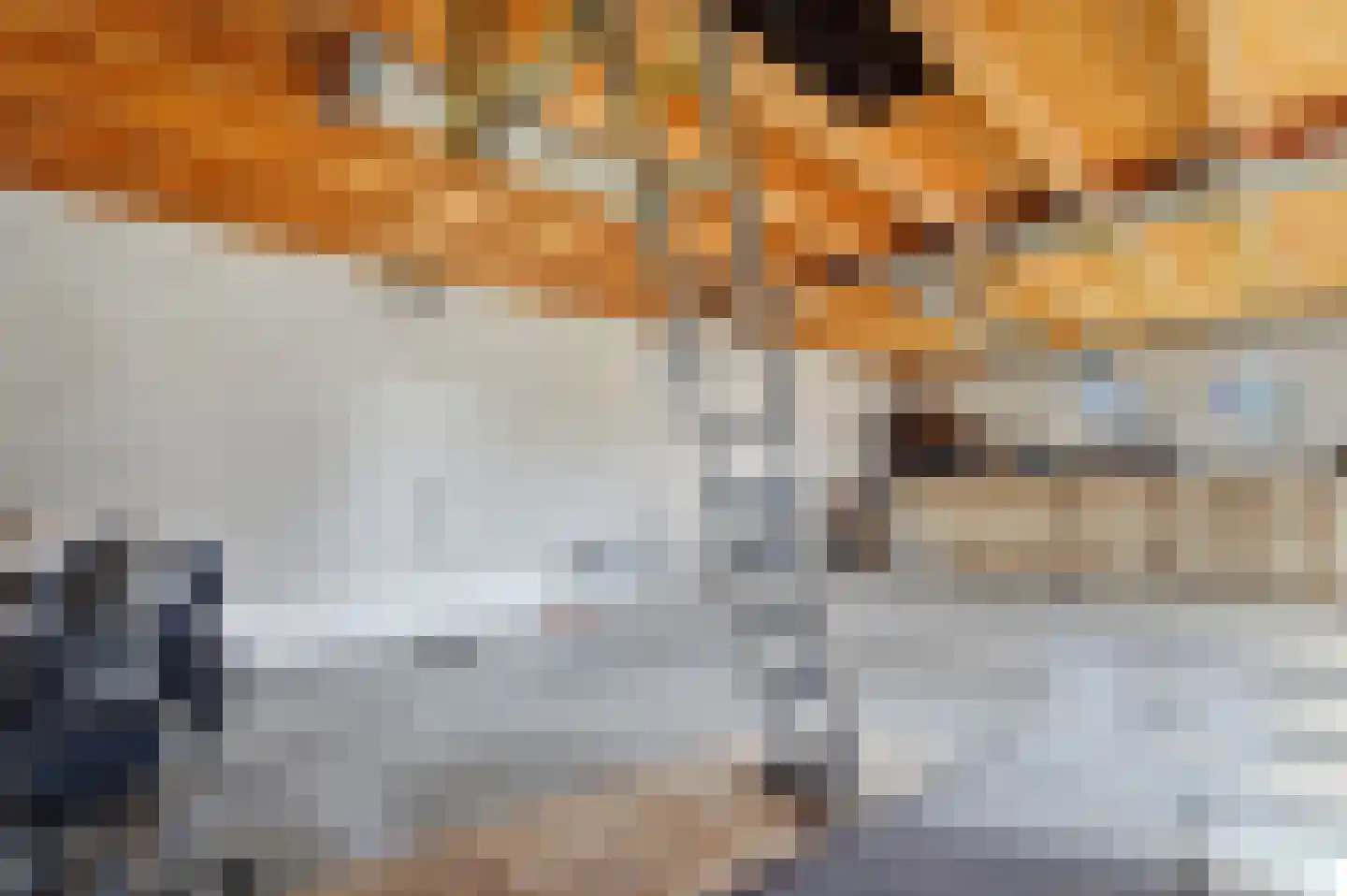 Kluiskade 20 a Maasland thumbnail 25