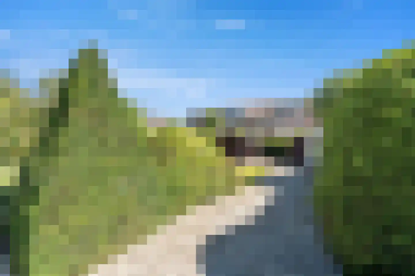 Kluiskade 20 a Maasland thumbnail 30