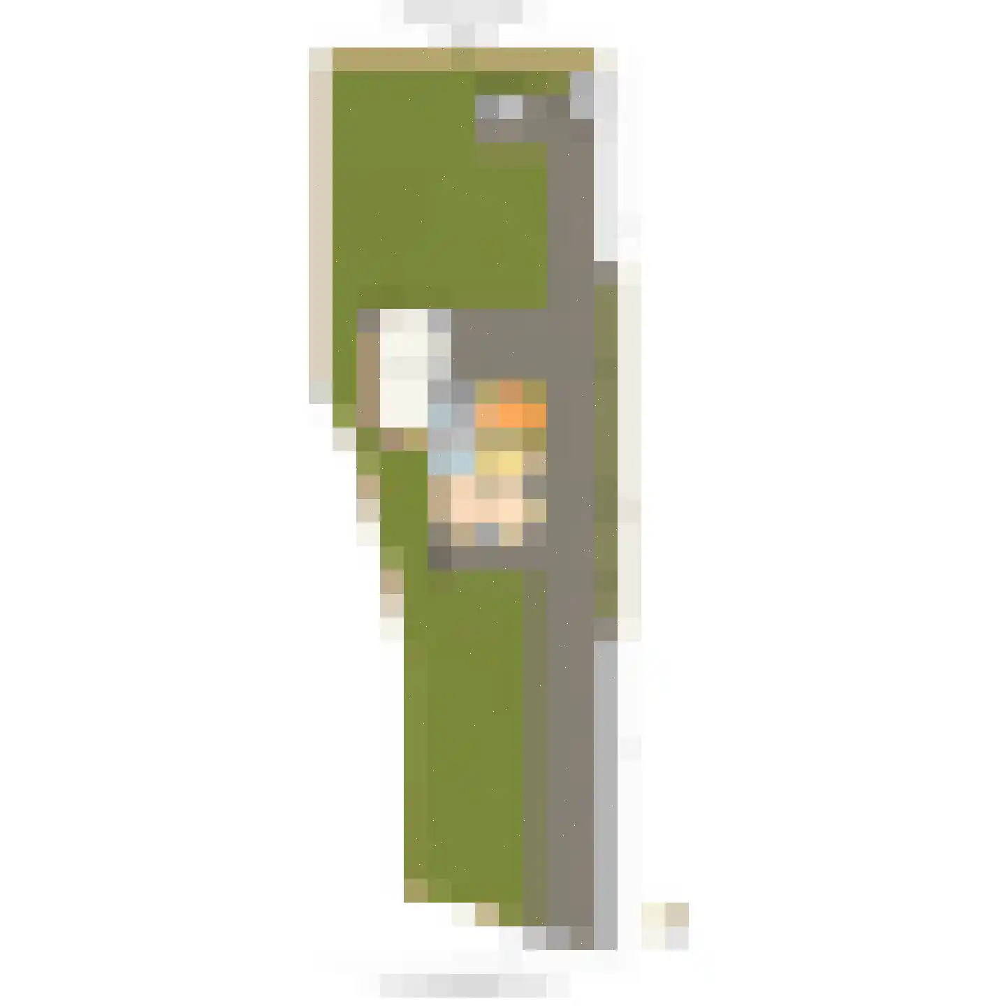 Kluiskade 20 a Maasland thumbnail 65