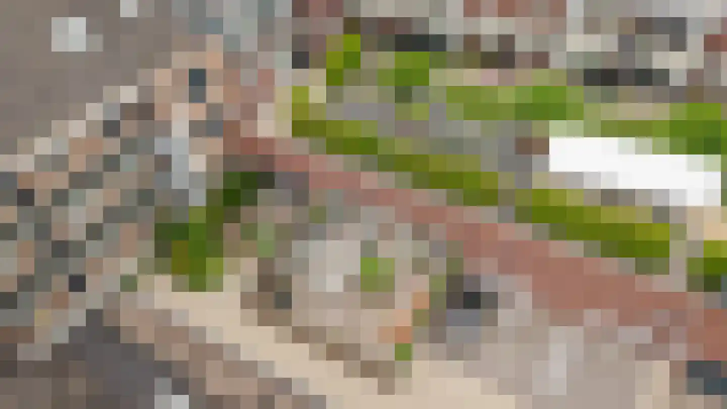 Kluisstraat 1 A Schijndel thumbnail 37