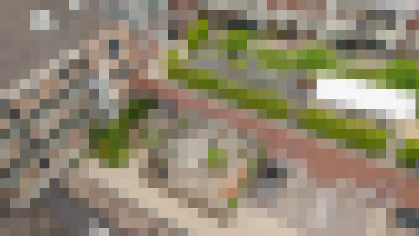 Kluisstraat 1 A Schijndel thumbnail 38