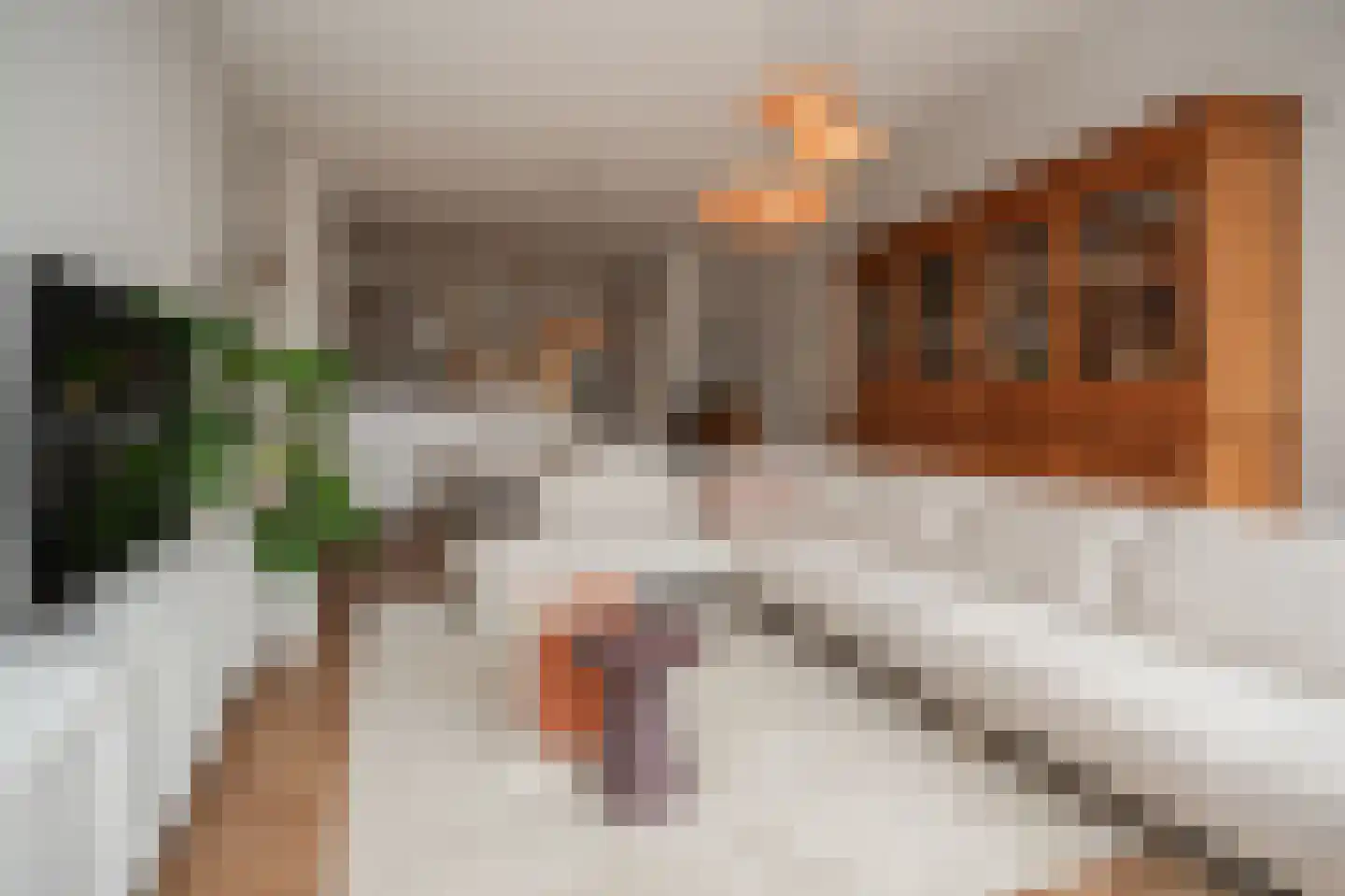 Kluisstraat 1 A Schijndel thumbnail 5