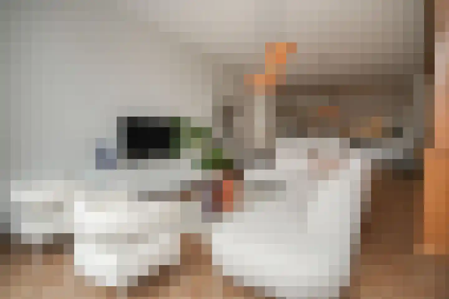 Kluisstraat 1 A Schijndel thumbnail 6