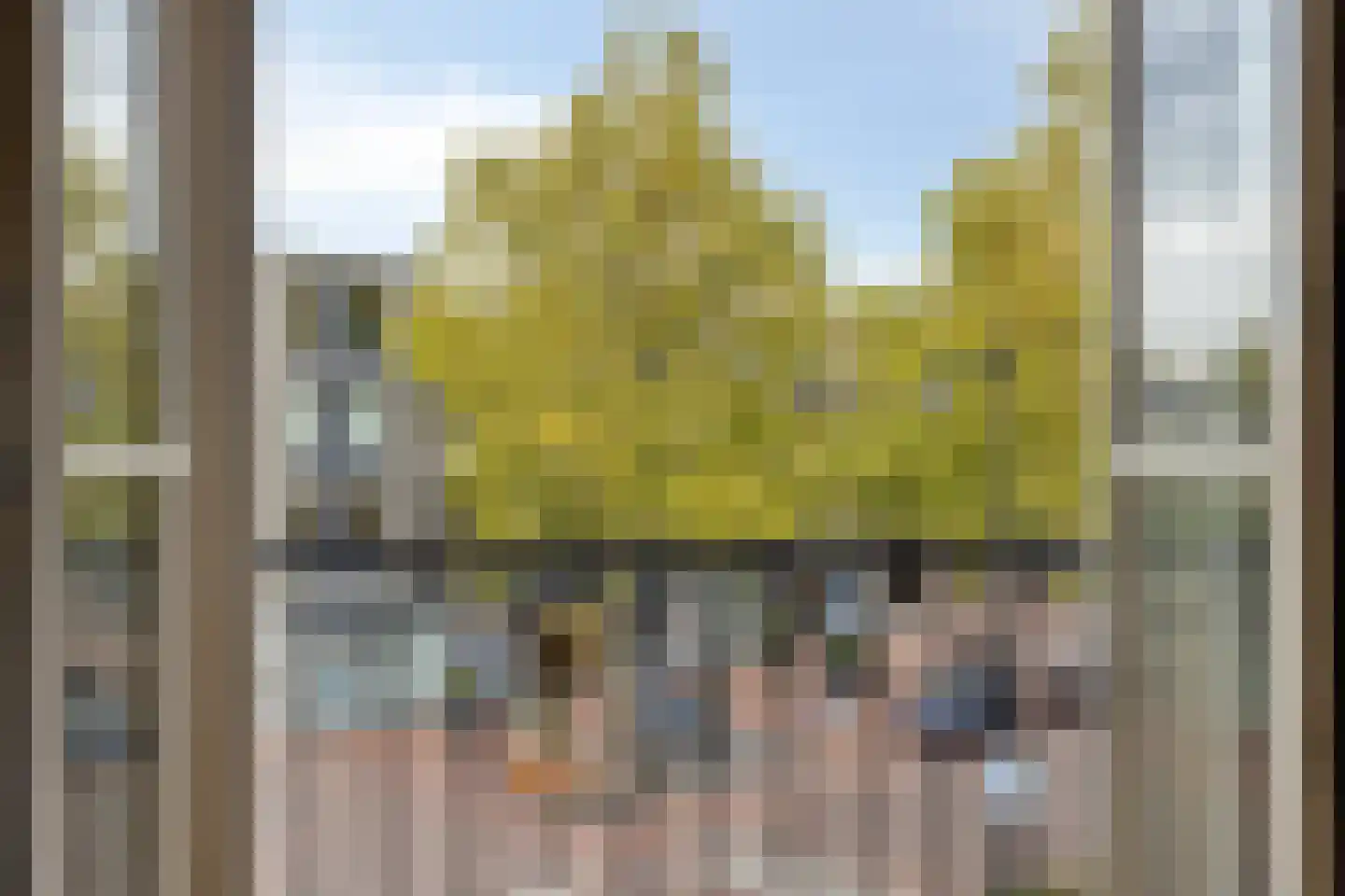 Kluisstraat 114 Helmond thumbnail 19