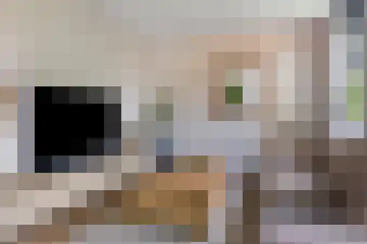 Kluisstraat 14 Ommel thumbnail 5