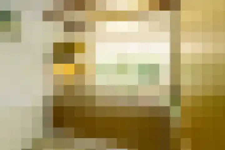 Kluisstraat 15 Boekel thumbnail 12