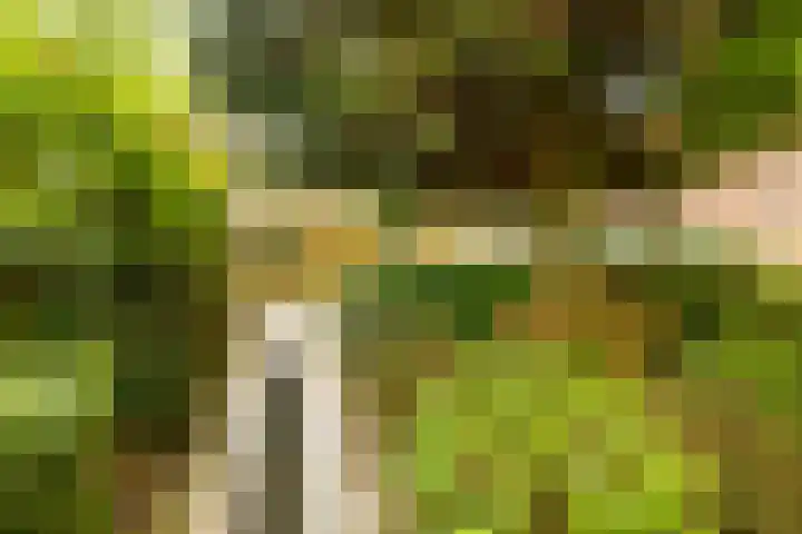 Kluisstraat 15 Boekel thumbnail 20