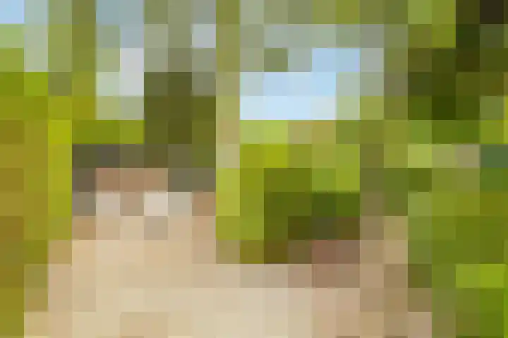 Kluisstraat 15 Boekel thumbnail 21