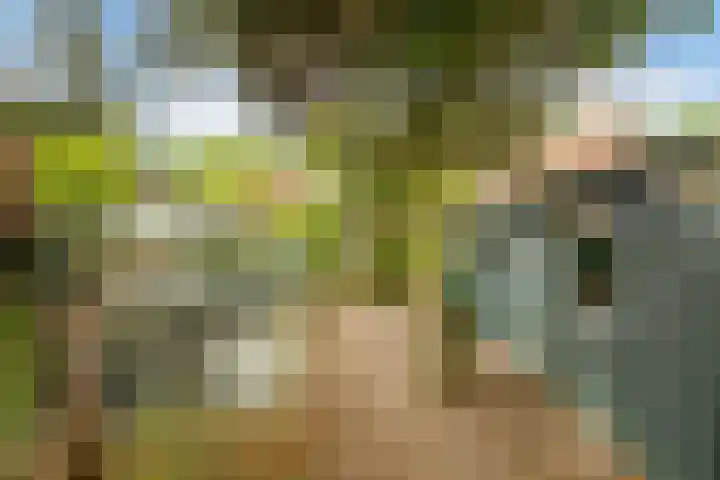 Kluisstraat 15 Boekel thumbnail 25