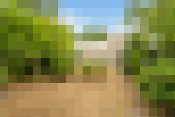 Kluisstraat 15 Boekel thumbnail 27