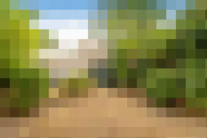 Kluisstraat 15 Boekel thumbnail 28