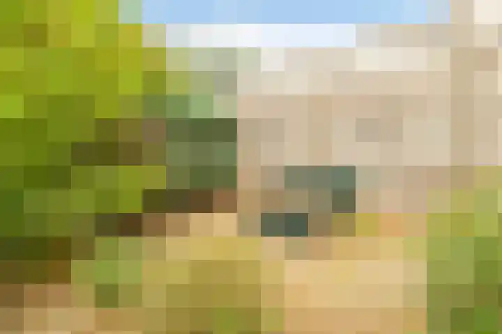 Kluisstraat 15 Boekel thumbnail 30