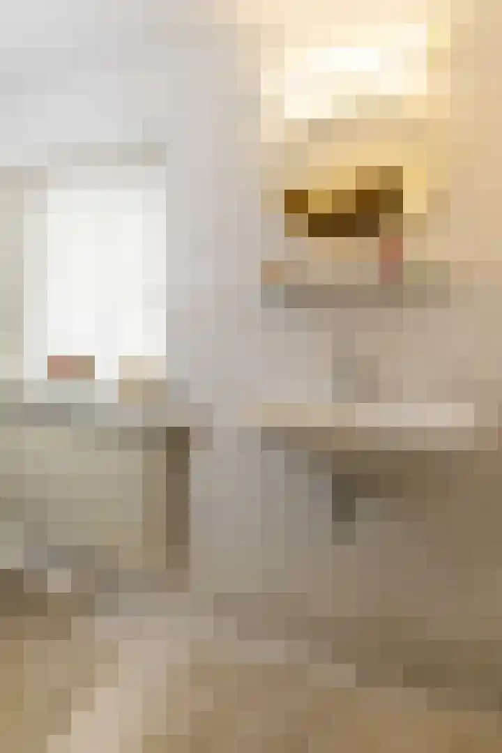 Kluisstraat 15 Boekel thumbnail 35