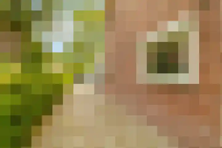 Kluisstraat 15 Boekel thumbnail 36
